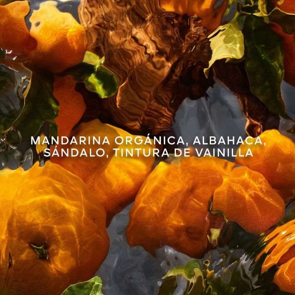 AQUA ALLEGORIA MANDARINE BASILIC - EAU DE TOILETTE SET